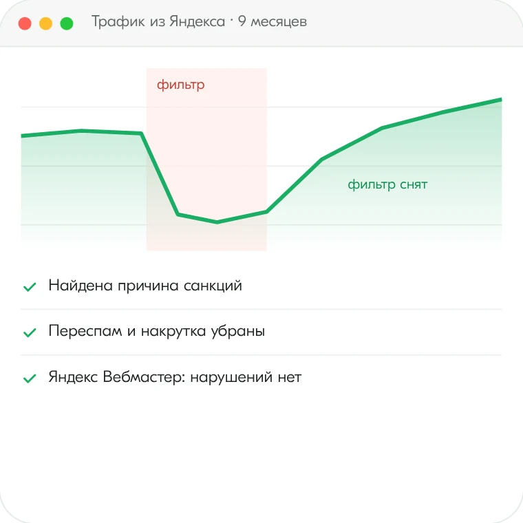 Вывод сайта из-под фильтра – пример результата работы