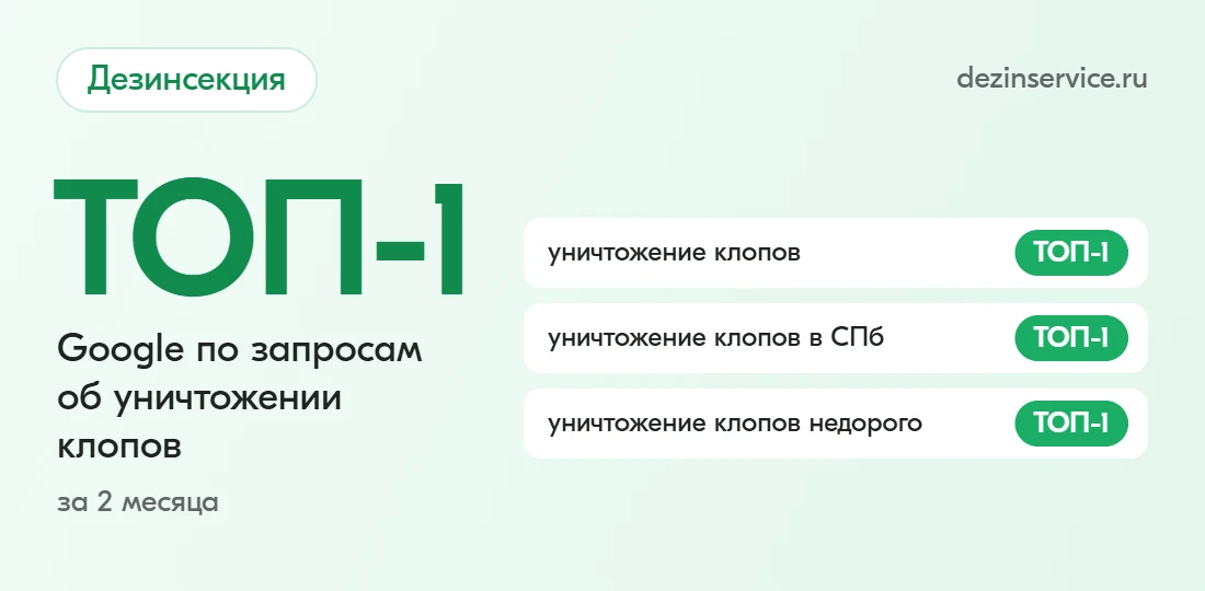 Кейс dezinservice.ru: Дезинсекция: ТОП Google за 2 месяца после борьбы с каннибализацией